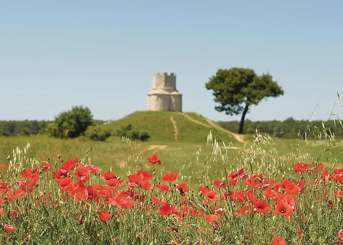 Beautiful In Poljaci *